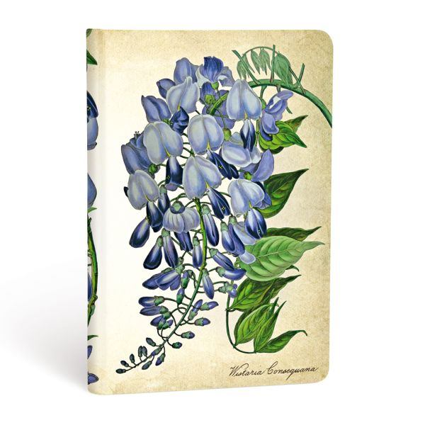 Mini Hardcover Journal – Painted Botanicals: Blooming Wisteria