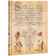 Midi Hardcover Journal – Mira Botanica: Flemish Rose